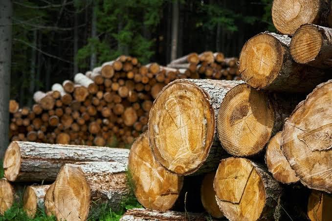 Wood